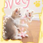 娃三岁逗猫棒