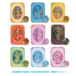 PTCG簡中宝可夢卡牌17.5太晶盛集痩盒