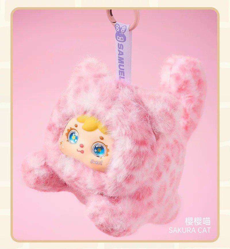 三小毛喵喵的呆萌时刻