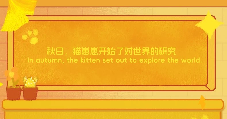 猫崽崽动物研究所盲盒